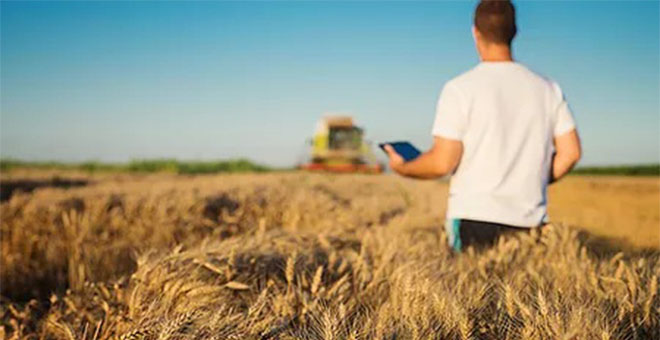 O marketing que o agronegócio precisa