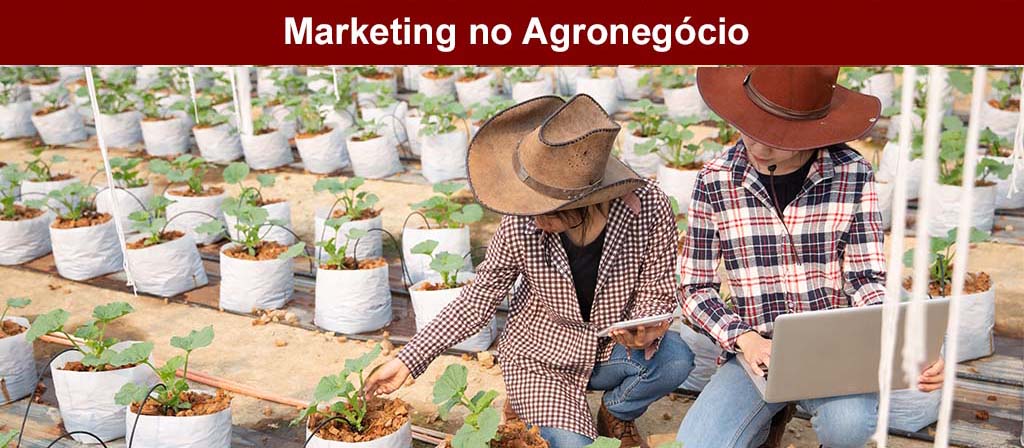 Comunicacao-e-Marketing-no-Agronegocio-2